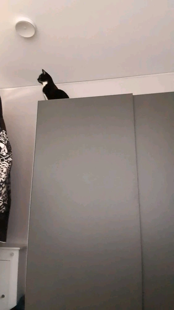 GIF geüpload door Niels