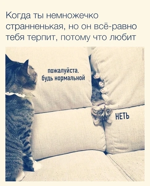 GIF загрузил Hagя