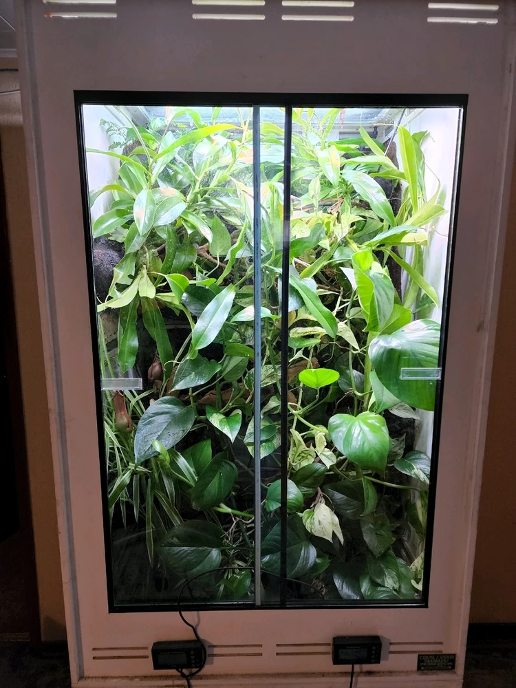 Image uploaded by Jevin