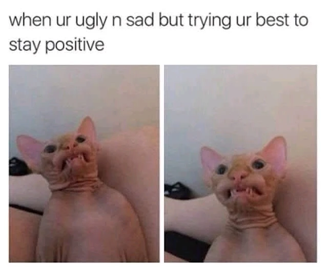 GIF hochgeladen von David