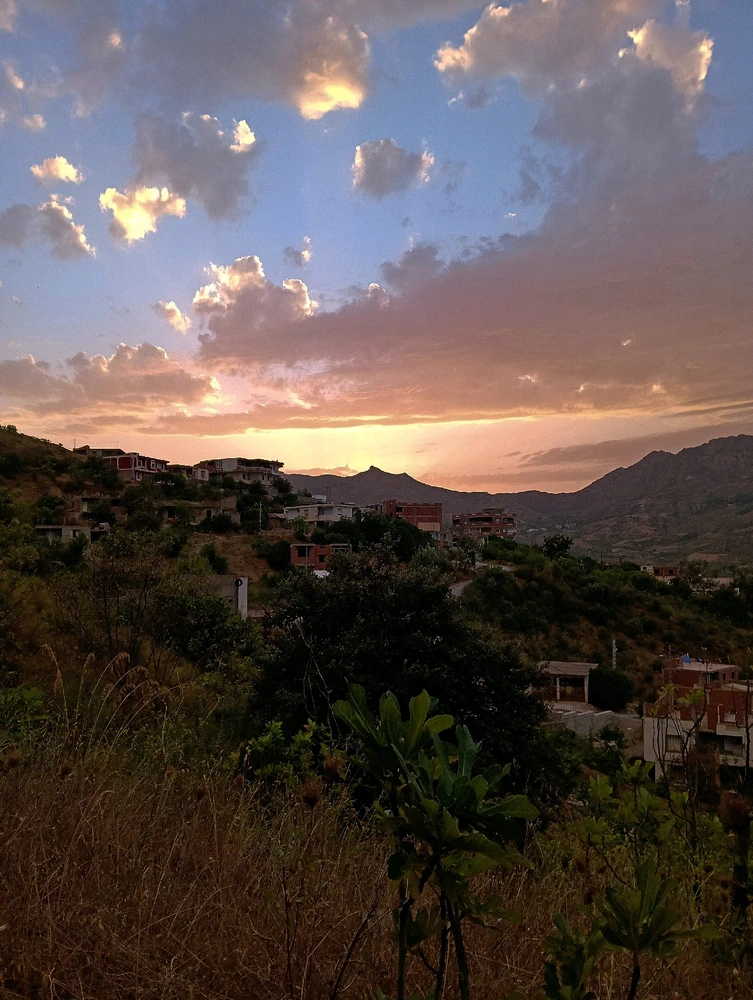 GIF uploaded by MIRA