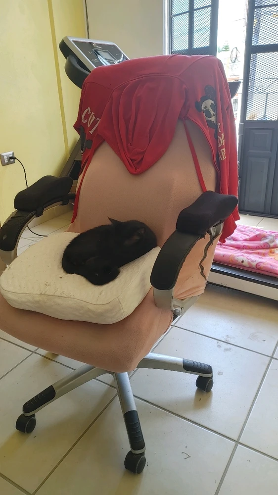 ❤ Sophia aka Mango Mami ❤️ 上傳的 GIF