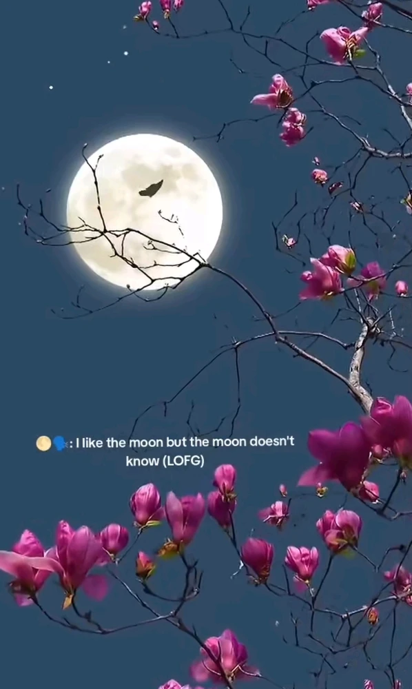 Image ajoutée par Saffiya