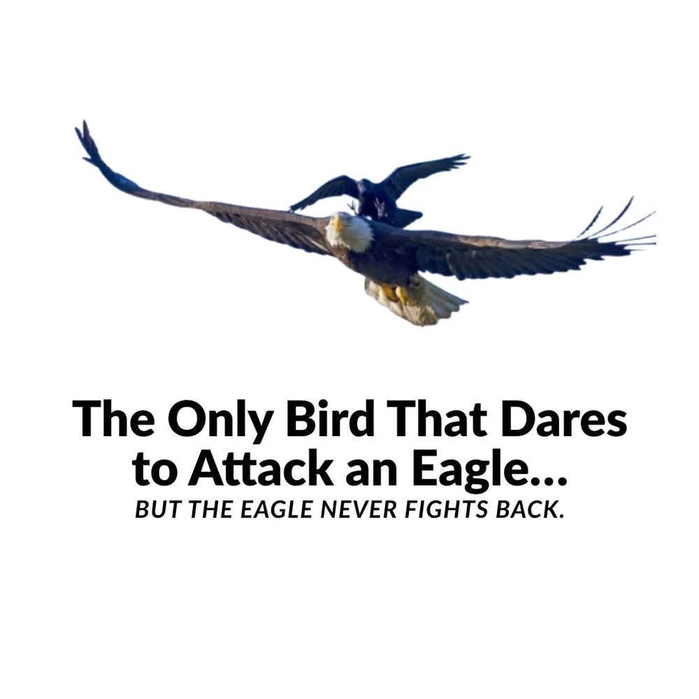 GIF diunggah dening Nelray