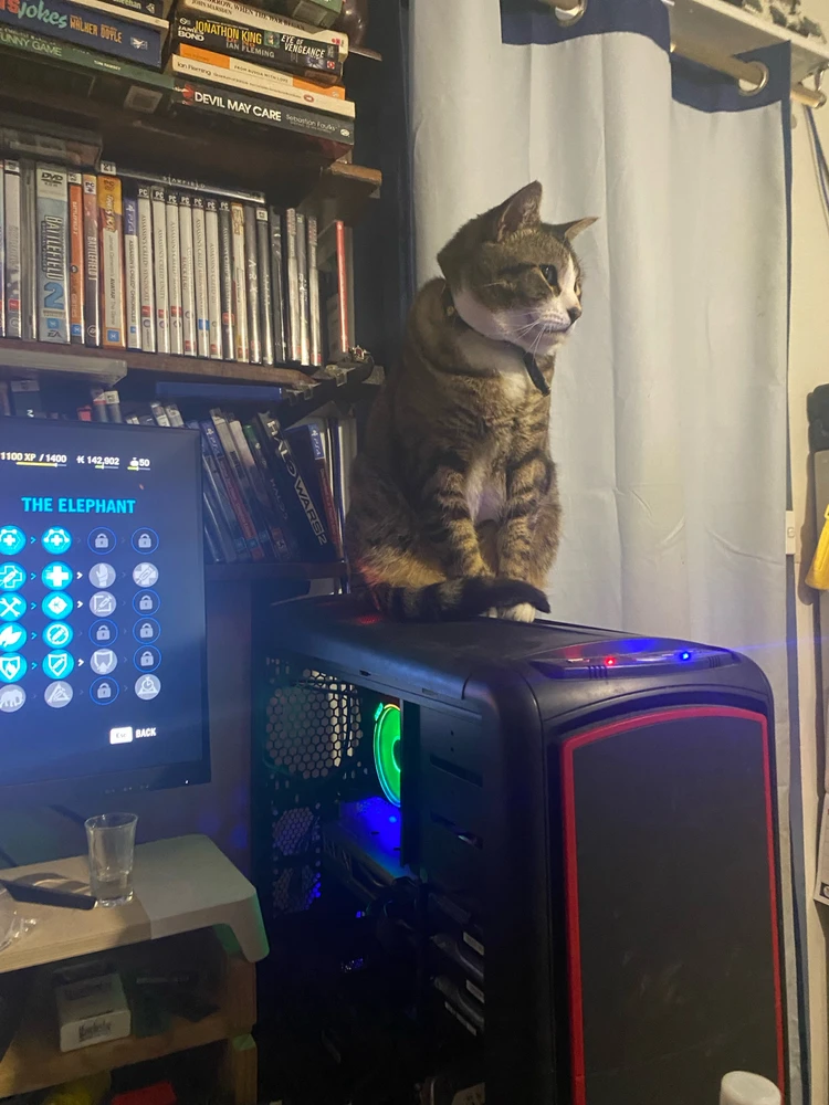 GIF uploaded by Barry