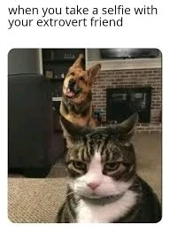 Image uploaded by 🇺🇲Daniel Fisk Bennett