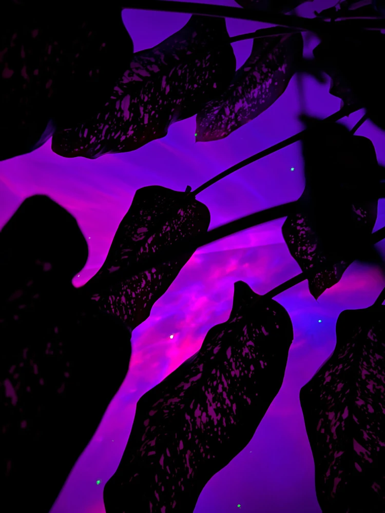 GIF otpremio/la 𝔇𝔦𝔞𝔫𝔞