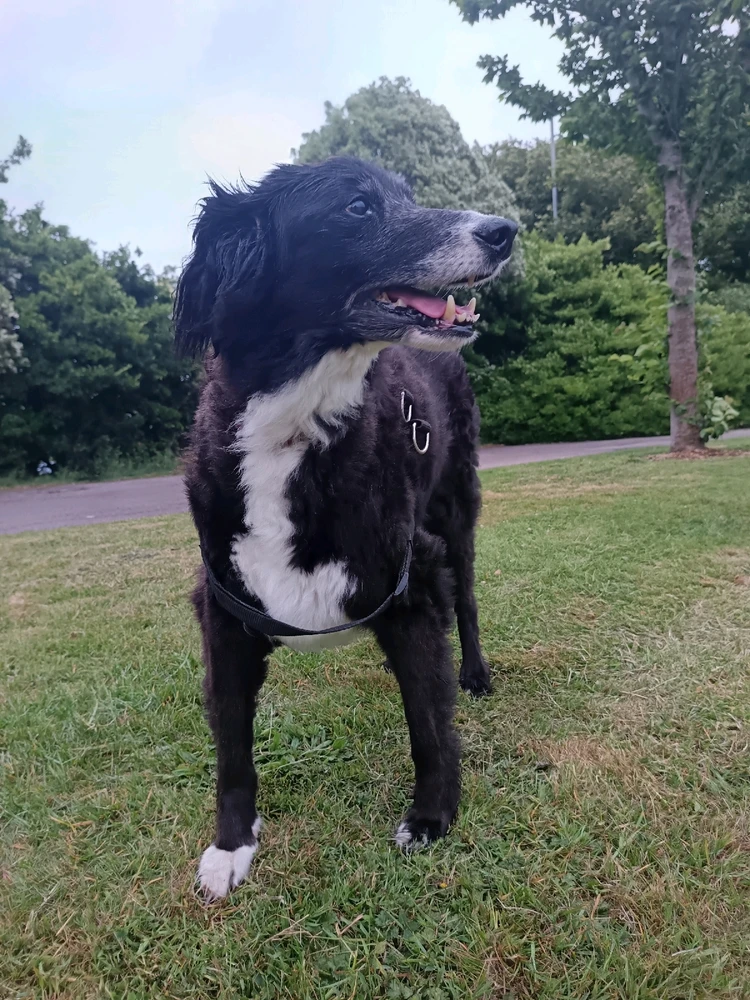 Image uploaded by David