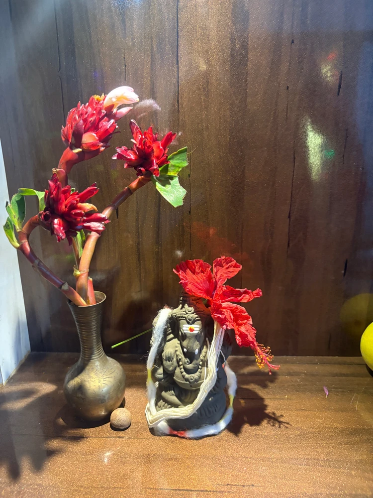 GIF uploaded by Bunnyyy