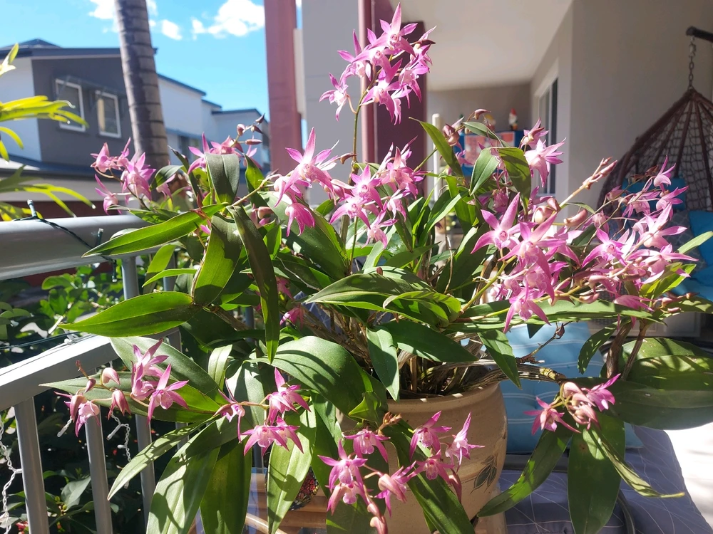 GIF uploaded by Scott