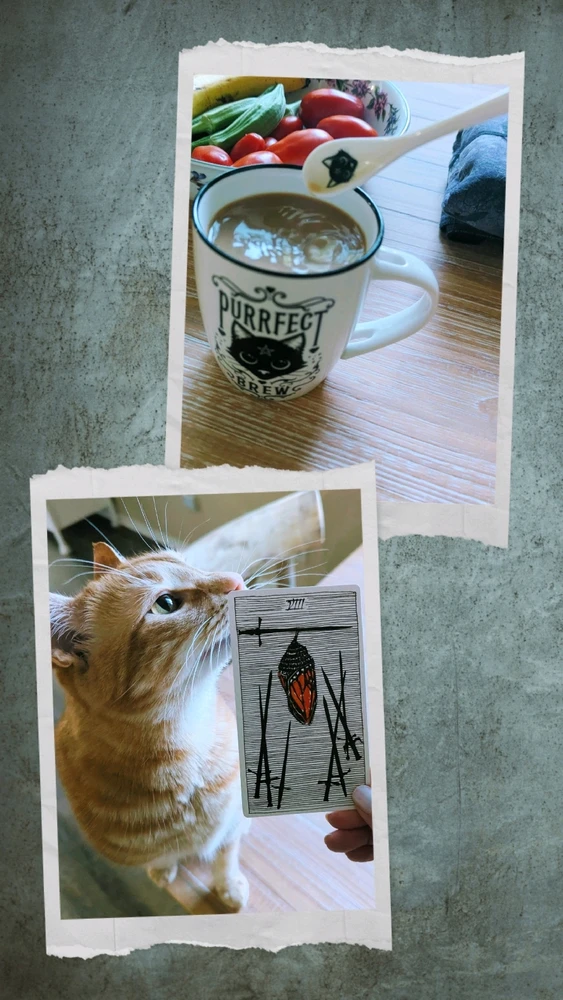 GIF uploaded by Melissa