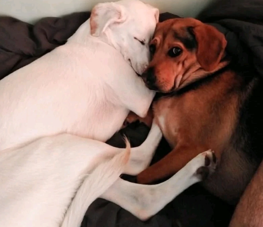 Imagen subida por Esteban