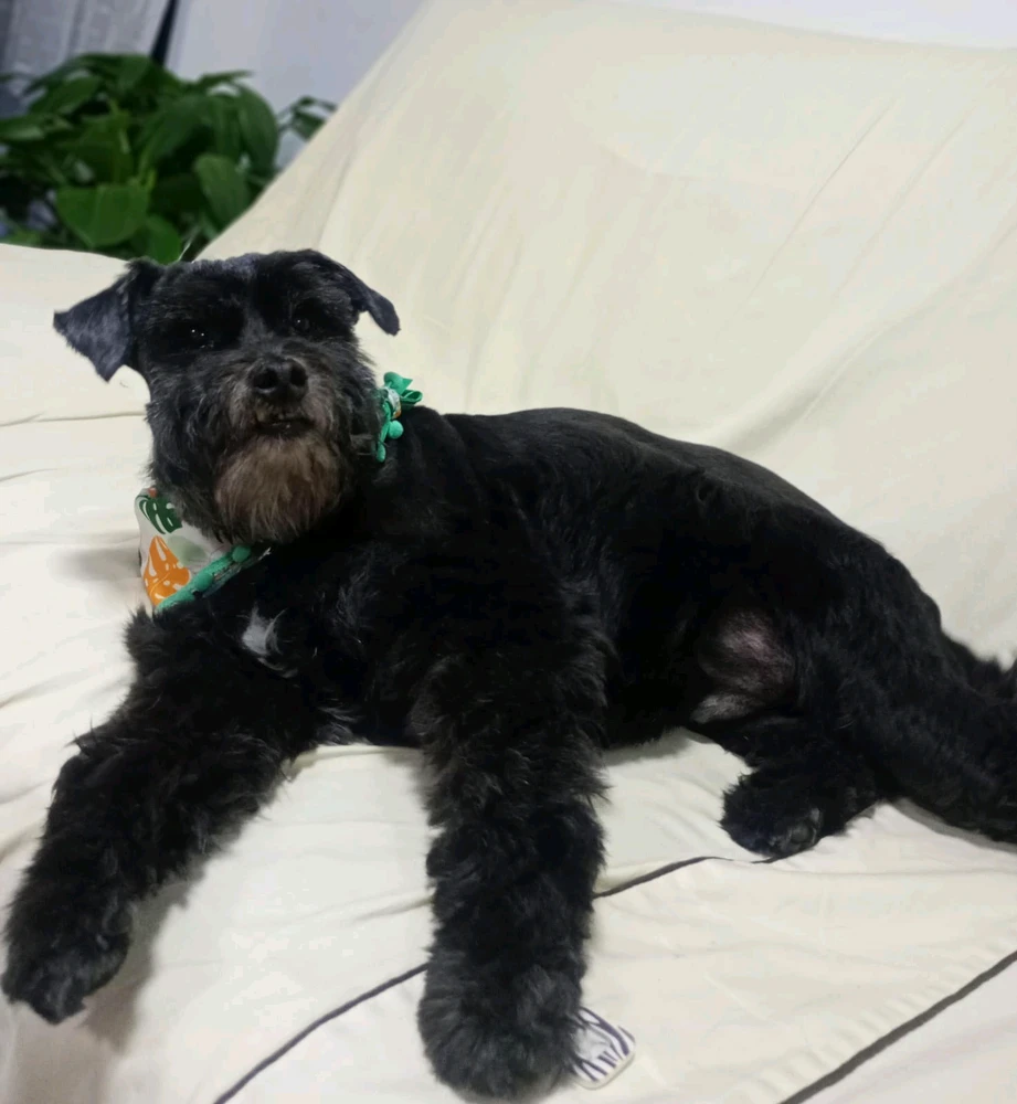 Imagen subida por Esteban