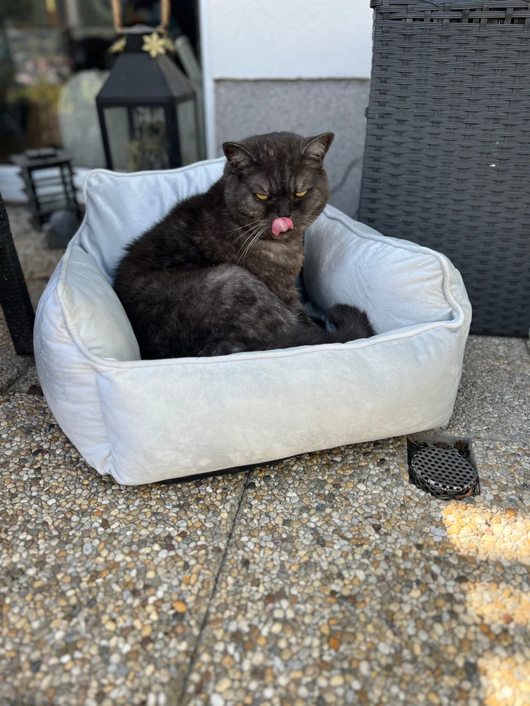 Obrázek nahrál mira