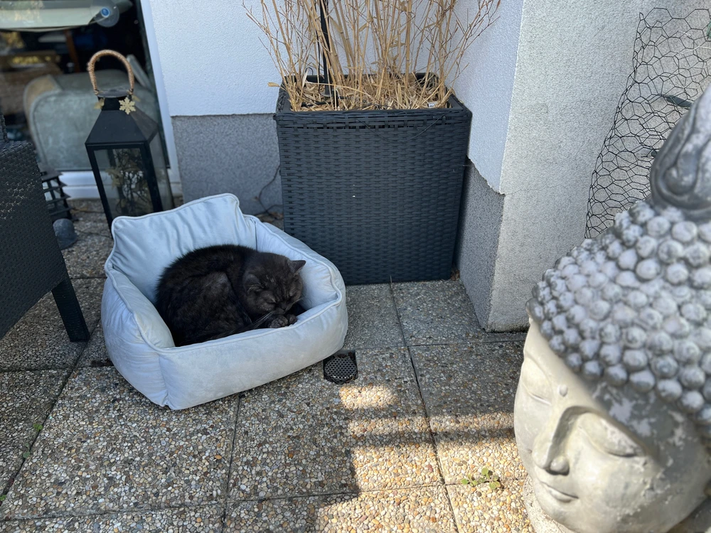 Obrázek nahrál mira