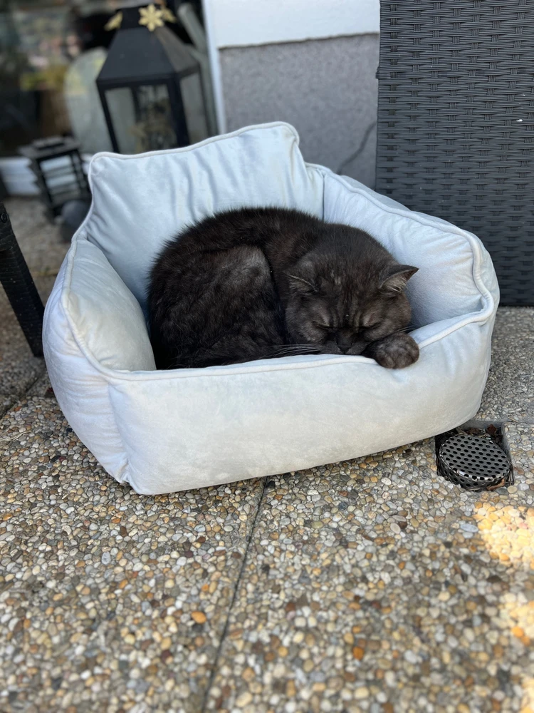 Obrázek nahrál mira