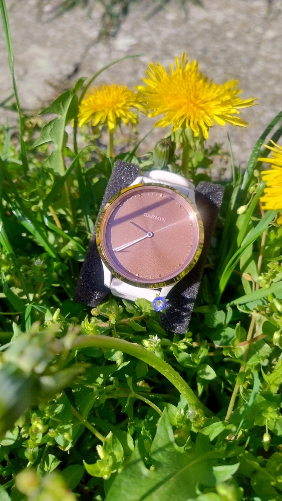 Гіфку завантажив Анатолій