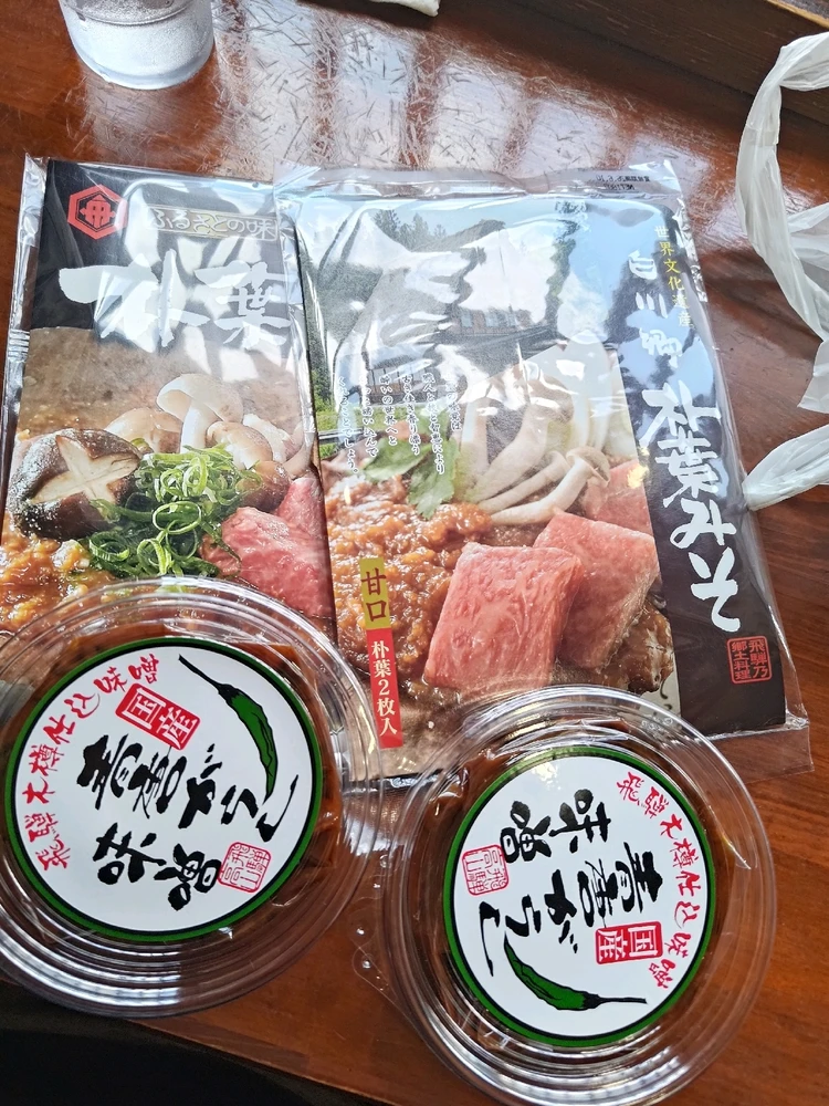 白川郷 Shirakawa gou the world heritage