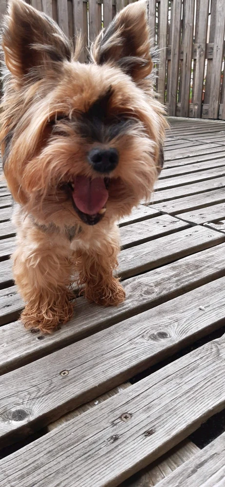 GIF dodany przez Radosław