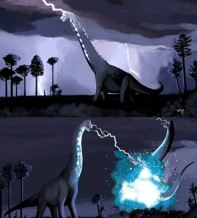 GIF subido por Ricardo