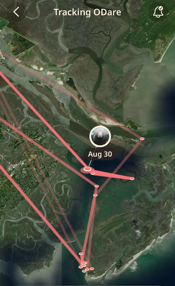 GIF uploaded by Mattias