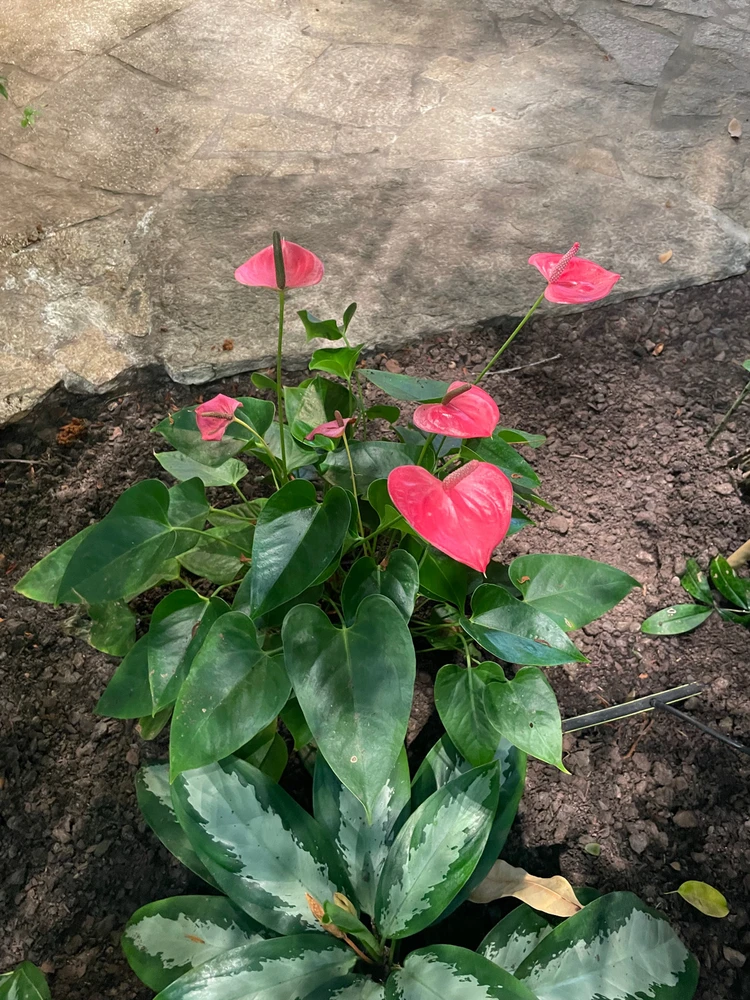 Zdjęcie dodane przez Margo