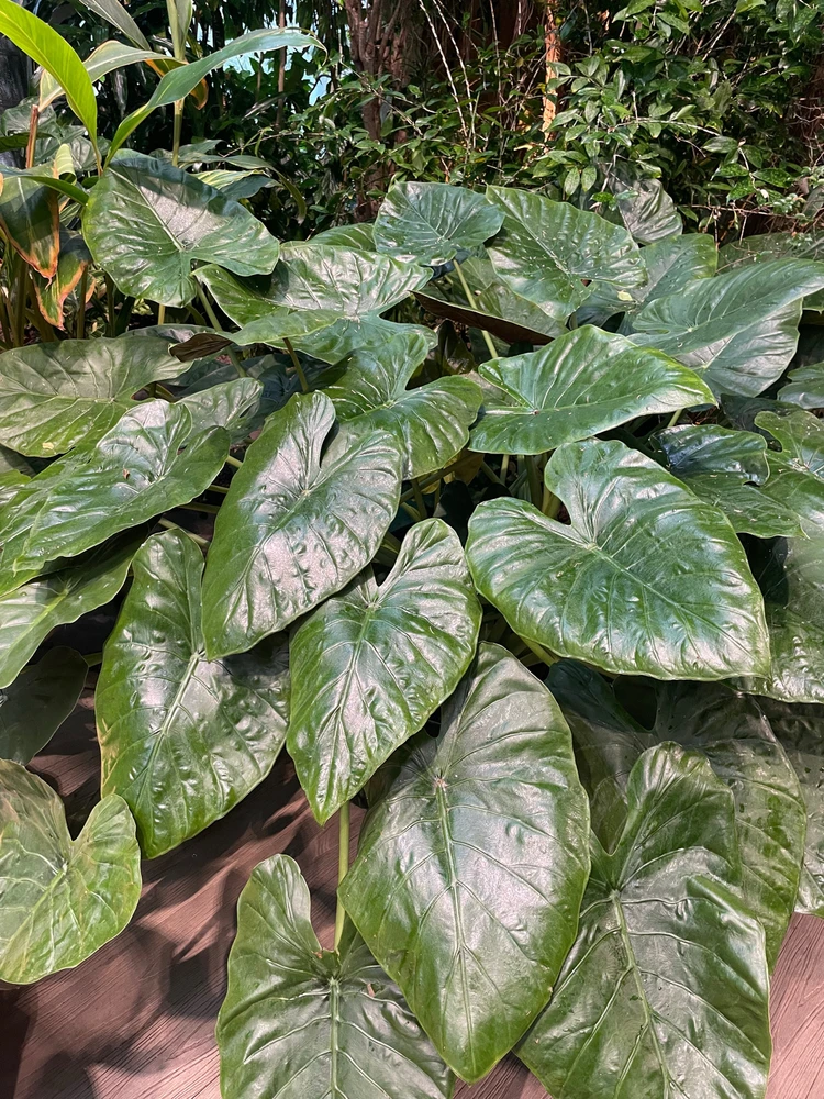 Zdjęcie dodane przez Margo