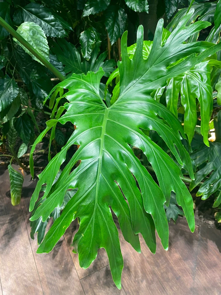 Zdjęcie dodane przez Margo