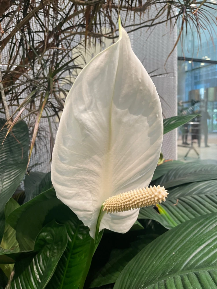 Zdjęcie dodane przez Margo