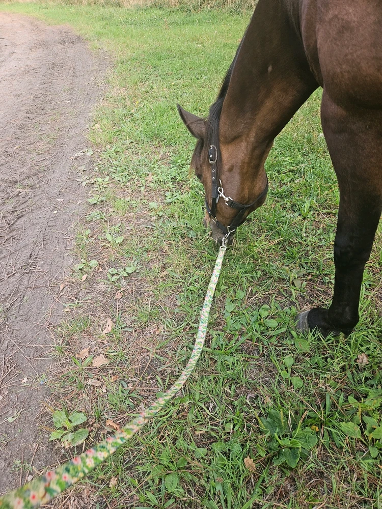 GIF ajouté par Elliot