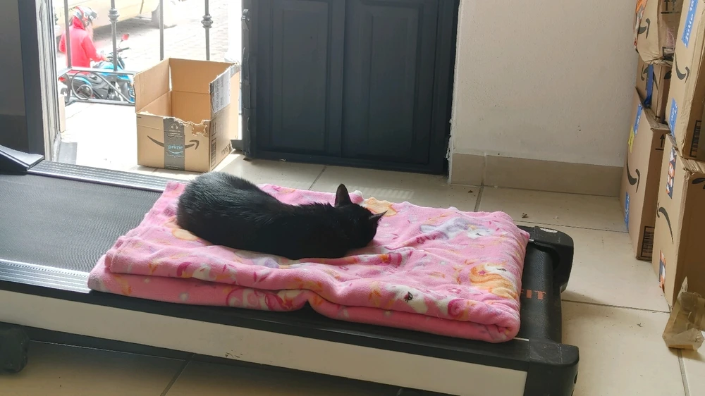 ❤ Sophia aka Mango Mami ❤️ 上傳的 GIF