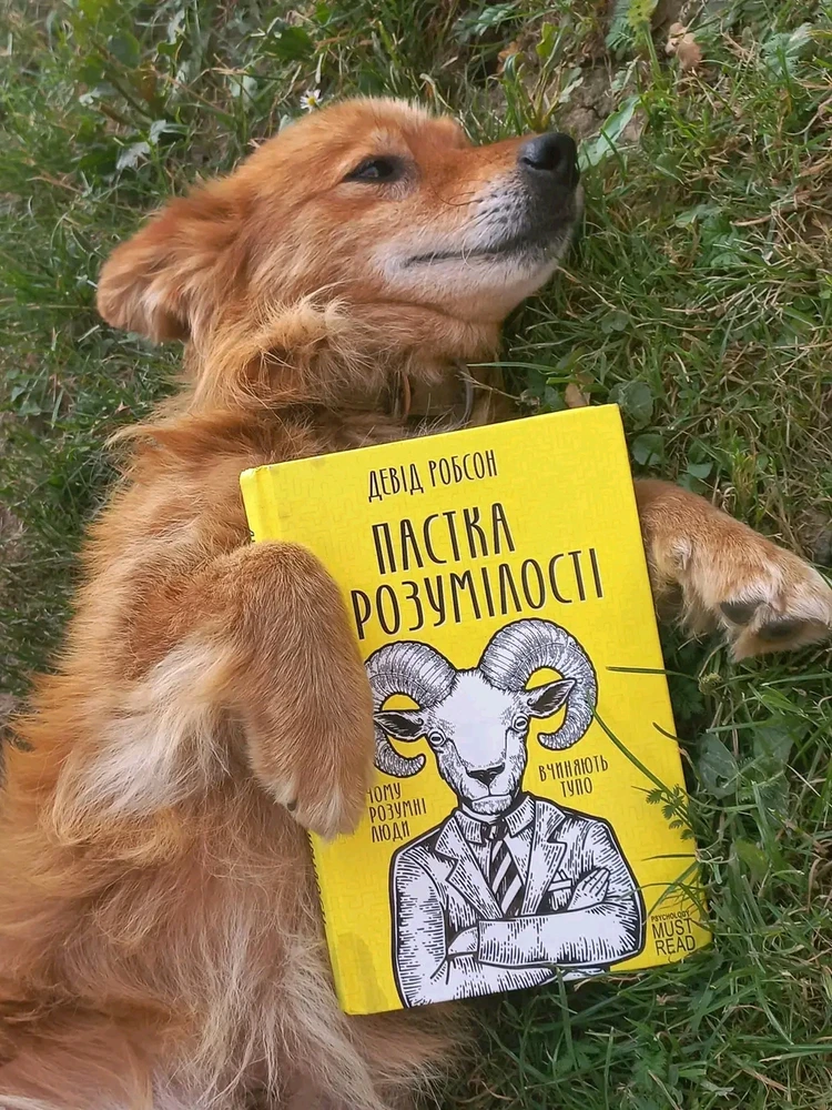 Гіфку завантажив Ksju_Ost