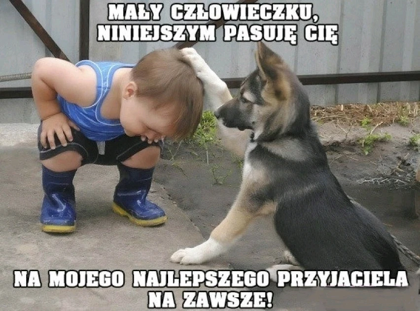 GIF dodany przez Ania