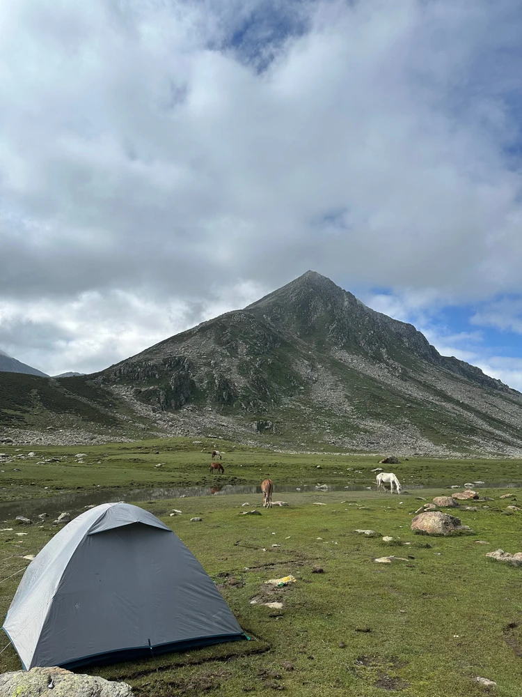 GIF uploaded by Jashan