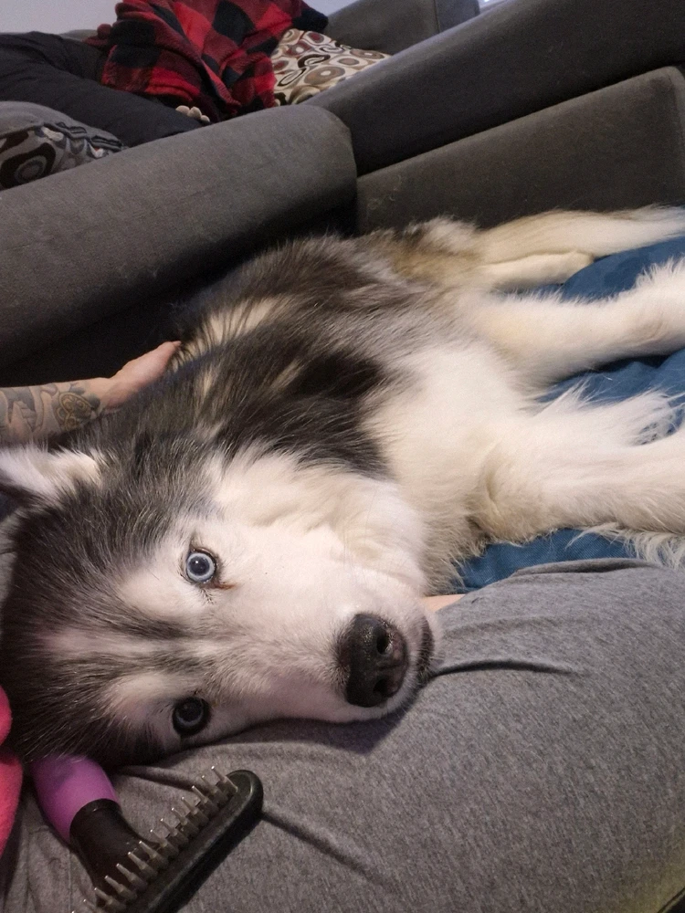 Image uploaded by Victoria