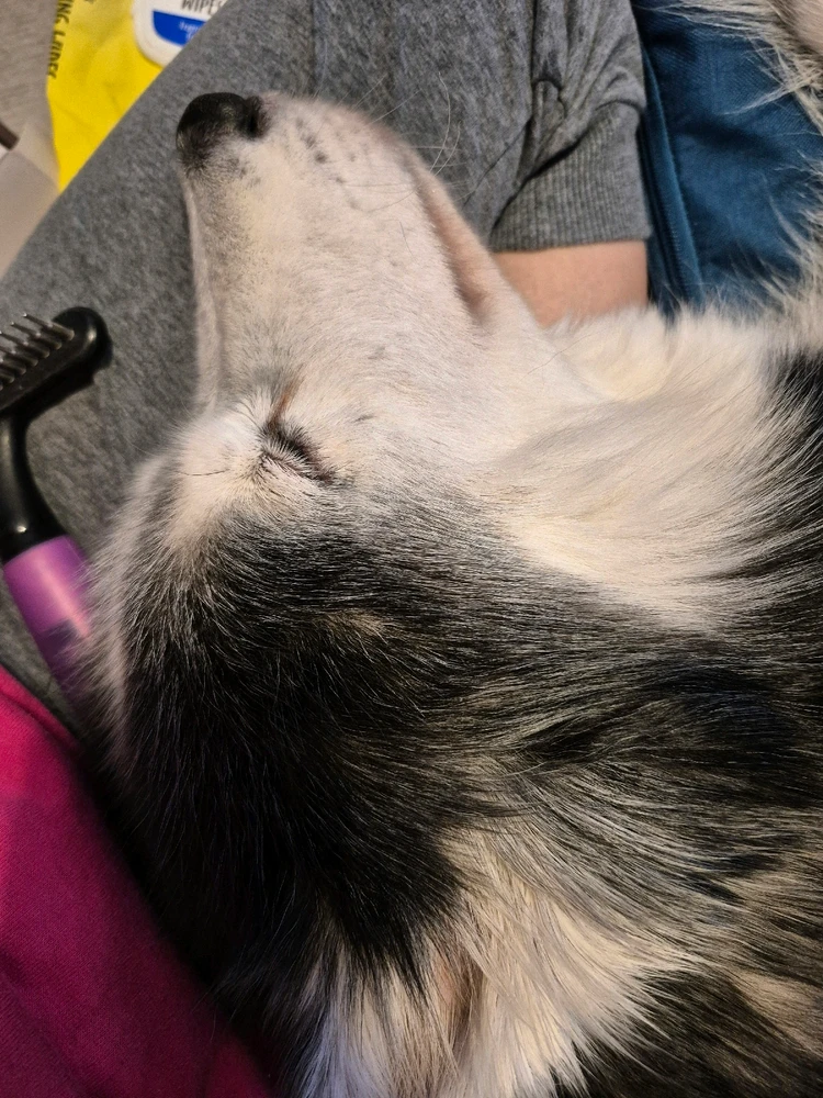 Image uploaded by Victoria