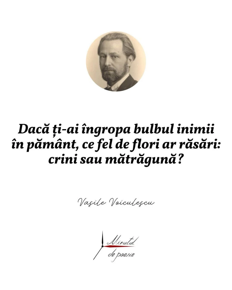 GIF încărcat de Doriana