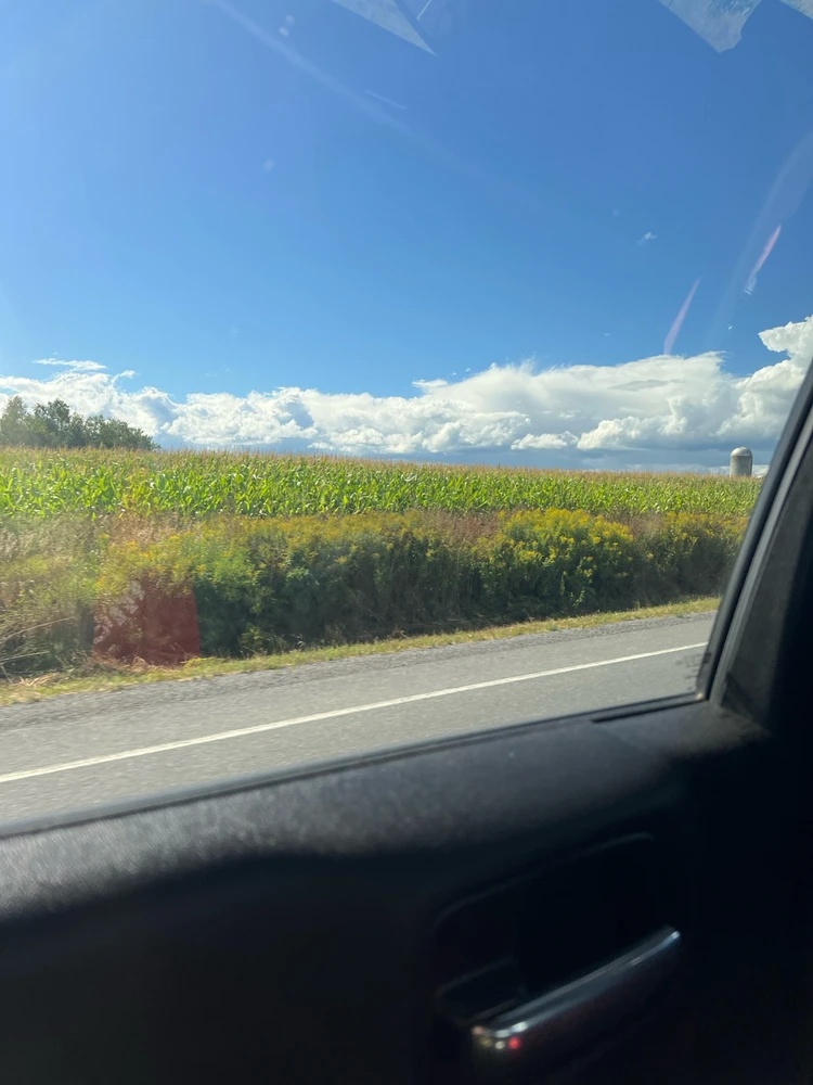 GIF subido por Tyson