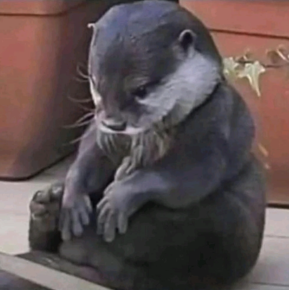 When you didn't buy any snacks at the store cuz you told yourself you need to stop snacking but now you feel snackish.