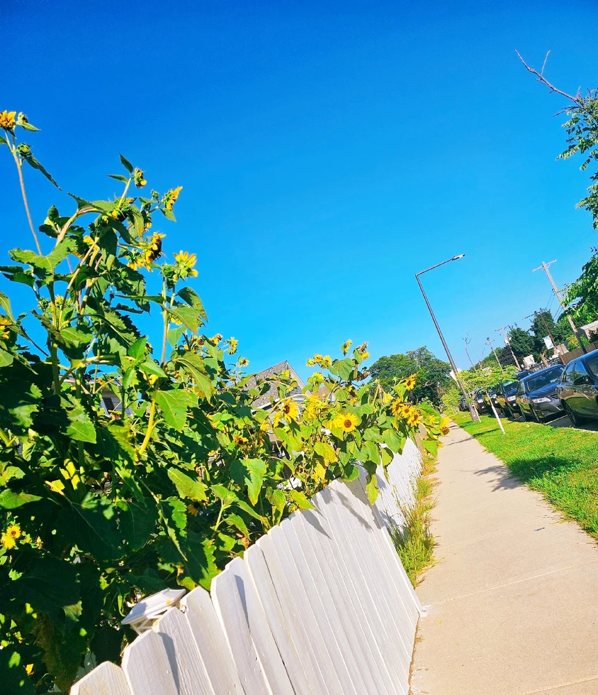 Image uploaded by Lovely