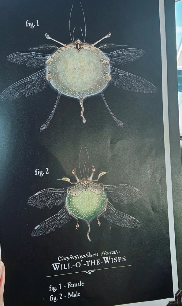 Image uploaded by Lovely