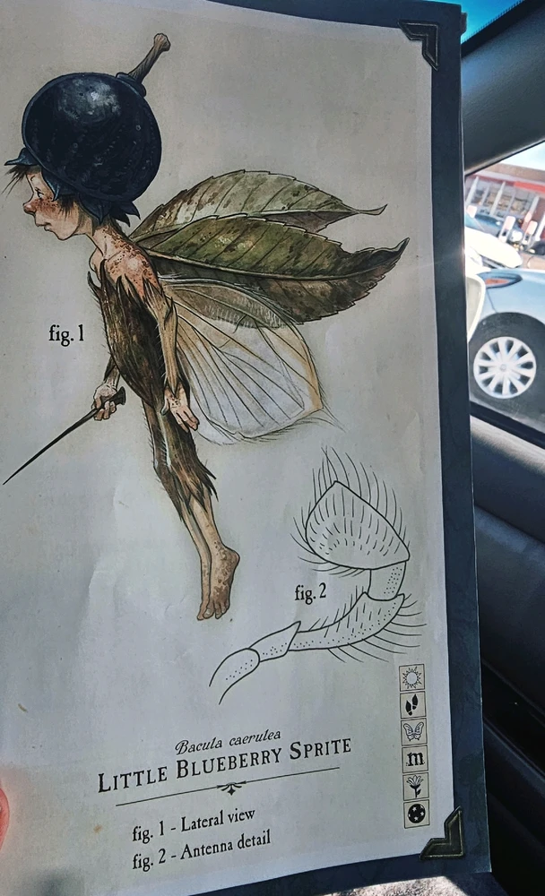 Image uploaded by Lovely