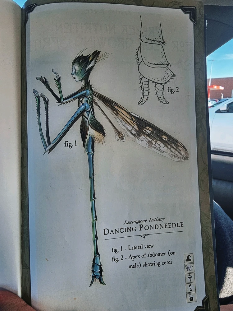 Image uploaded by Lovely