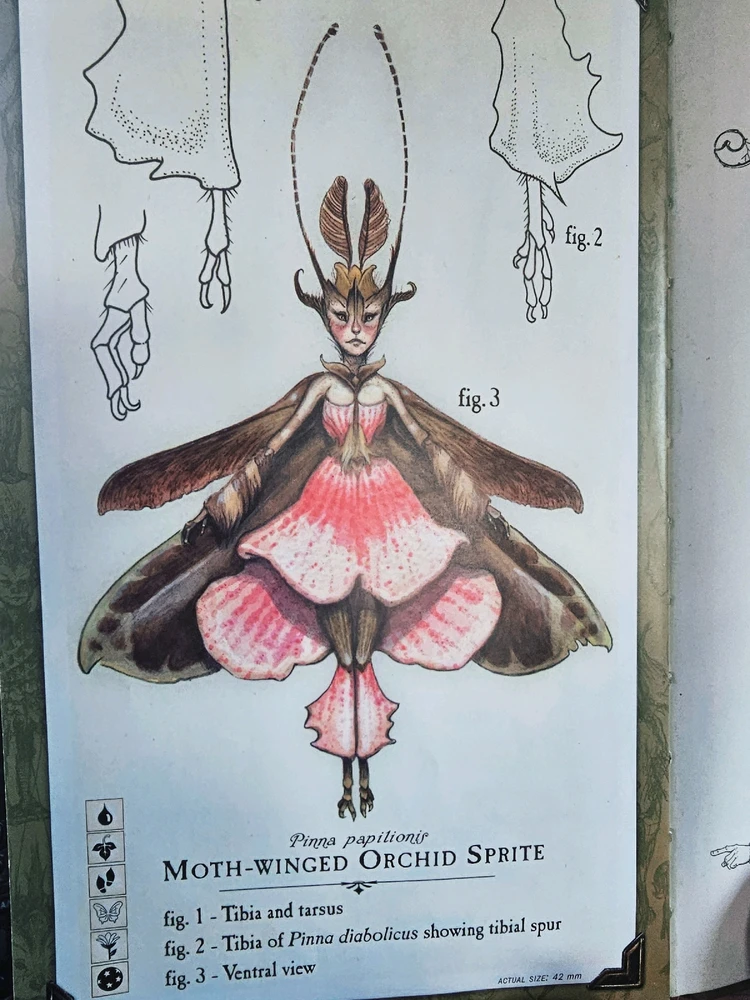 Image uploaded by Lovely