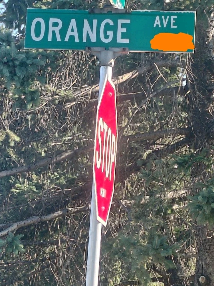 Image uploaded by Lovely