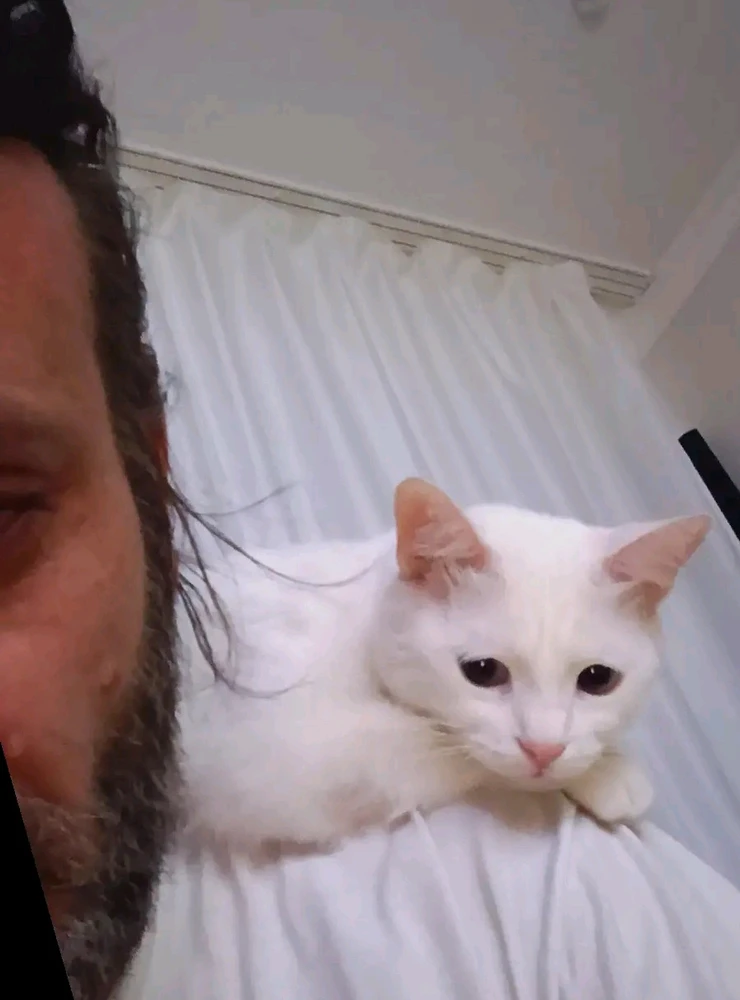 Koray tarafından yüklenen GIF