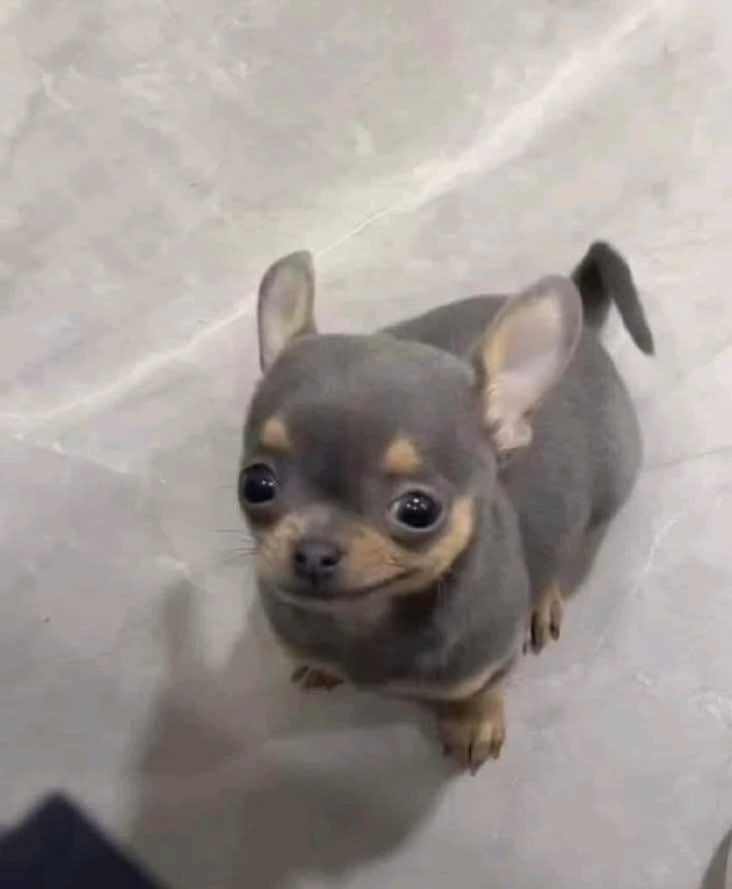 GIF lastet opp av Mike