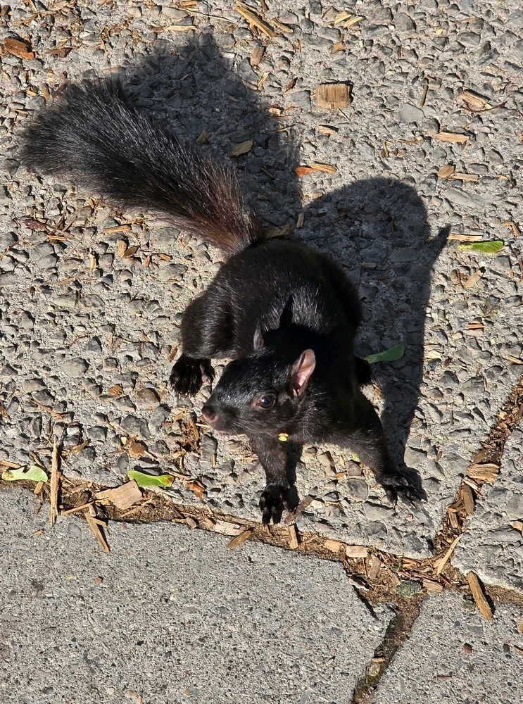 GIF uploaded by Chantelle