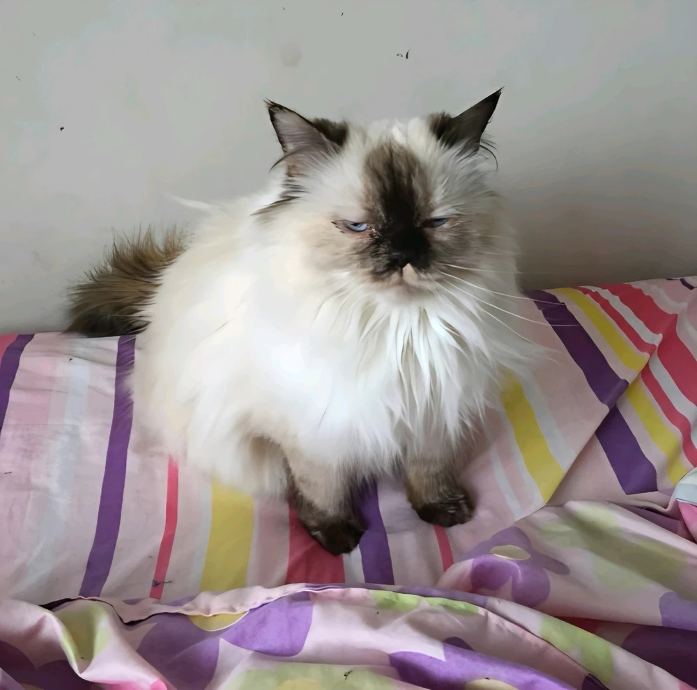GIF uploaded by Chantelle