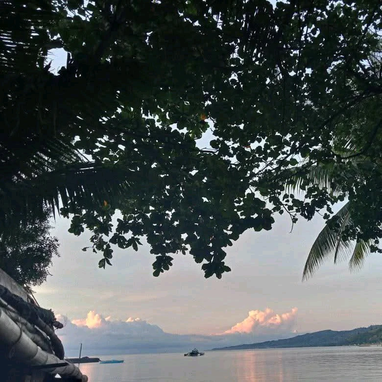 Image uploaded by Marvie